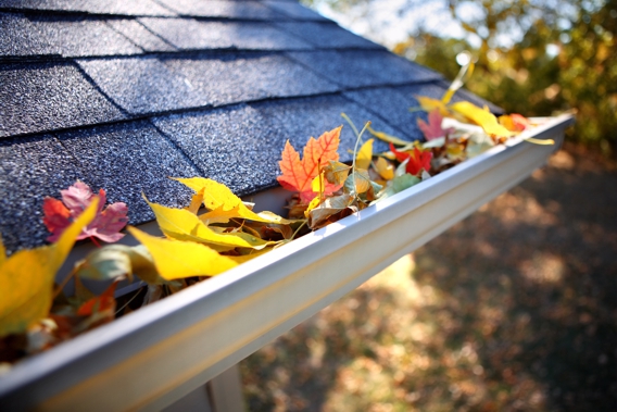 leaves in gutter