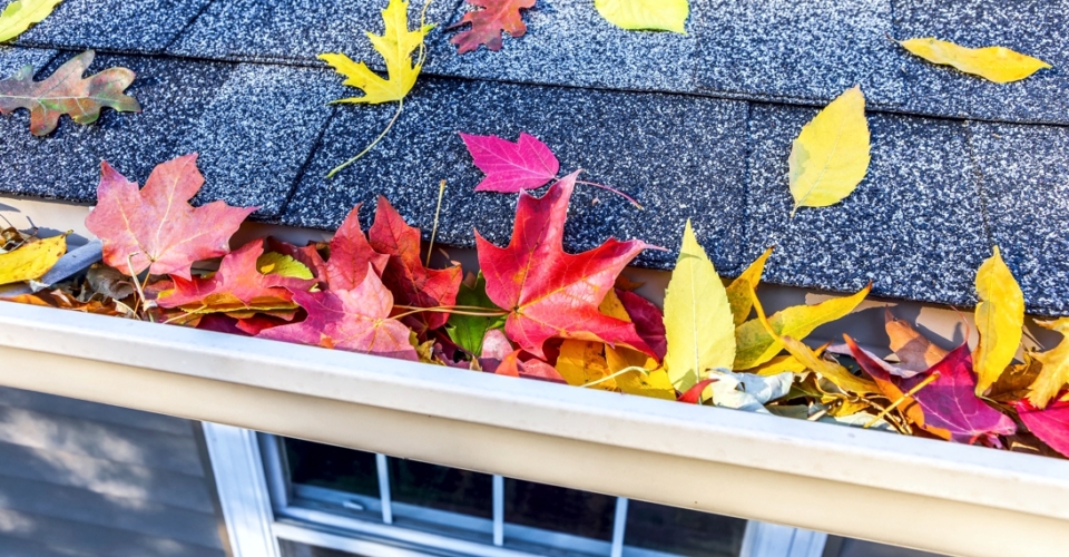 Gutters can't do their job with a seasons worth of leaves in them